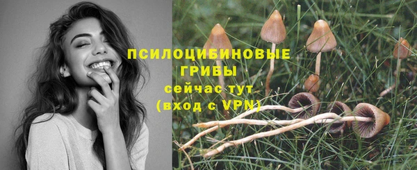 ГАЛЛЮЦИНОГЕННЫЕ ГРИБЫ Белокуриха