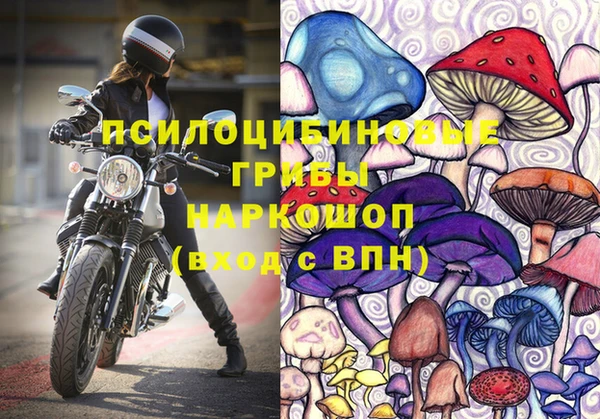 гашик Баксан