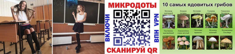 Псилоцибиновые грибы Psilocybine cubensis kraken ONION Мегион